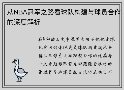 从NBA冠军之路看球队构建与球员合作的深度解析